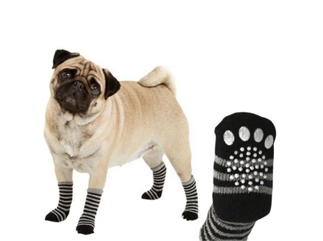 Calcetines para Mascotas