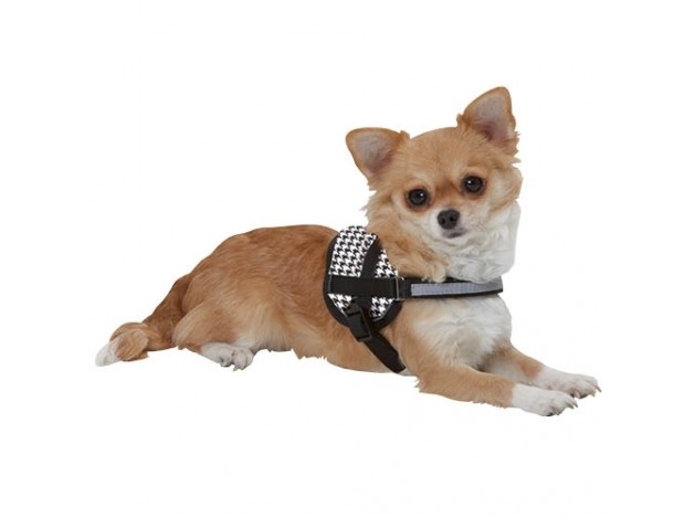 Arnés para perros Teeny -Weeny Rosa