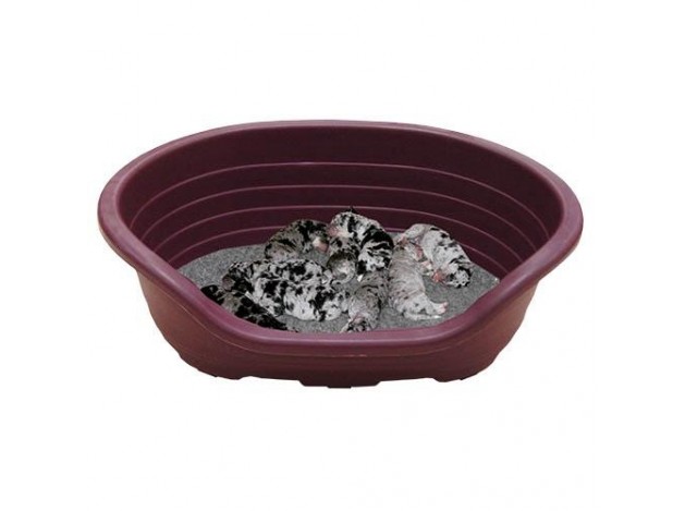 Cuna Plástico para perros de  Paridera