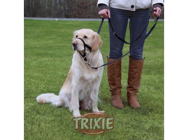 Arnés-Bozal Top Trainer