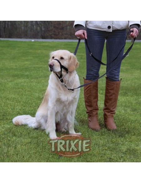 Arnés-Bozal Top Trainer