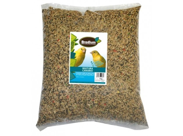Bradium mixtura canarios