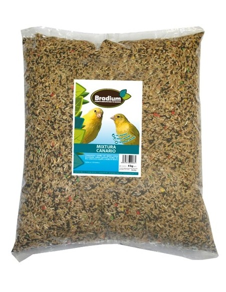 Bradium mixtura canarios