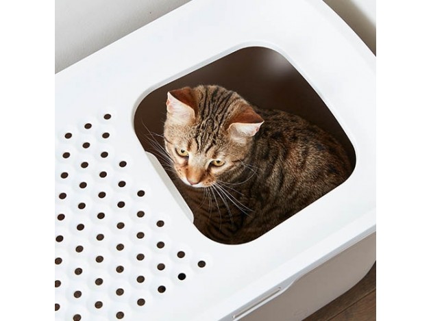 Bandeja arenero de gato "Wc Hop In"