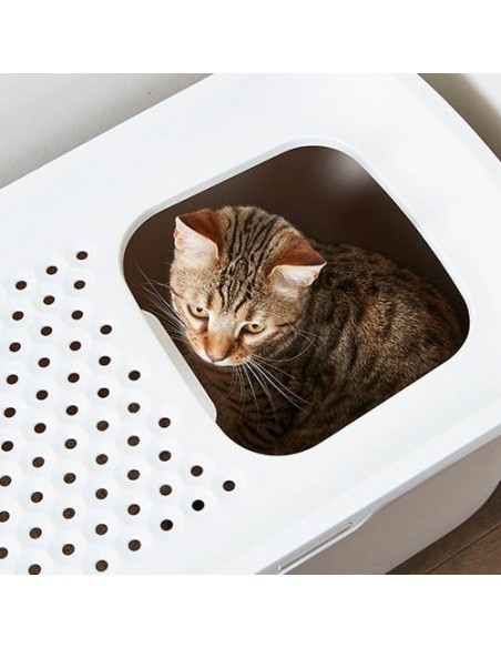 Bandeja arenero de gato "Wc Hop In"