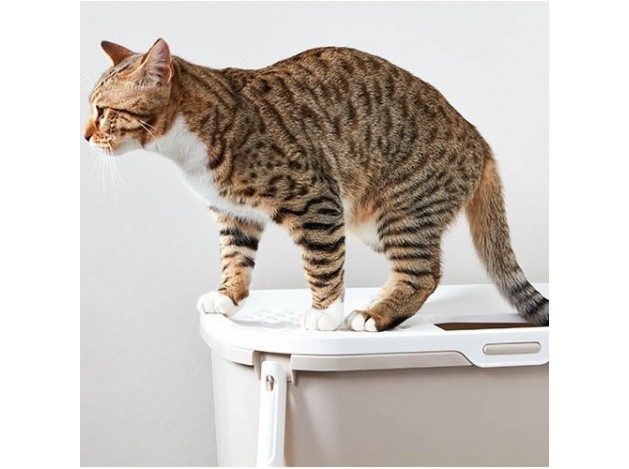 Bandeja arenero de gato "Wc Hop In"