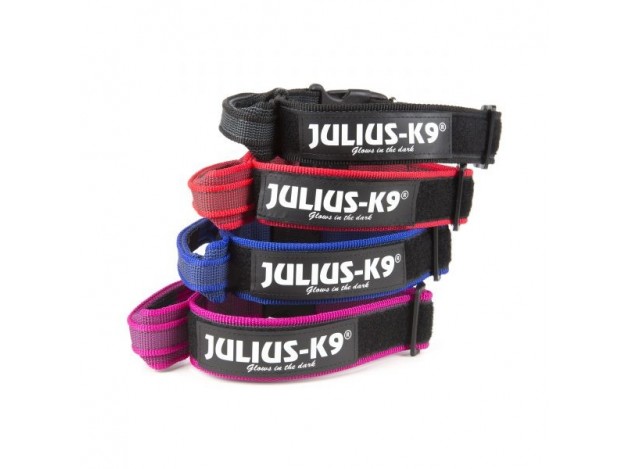 Collar Julius - K9