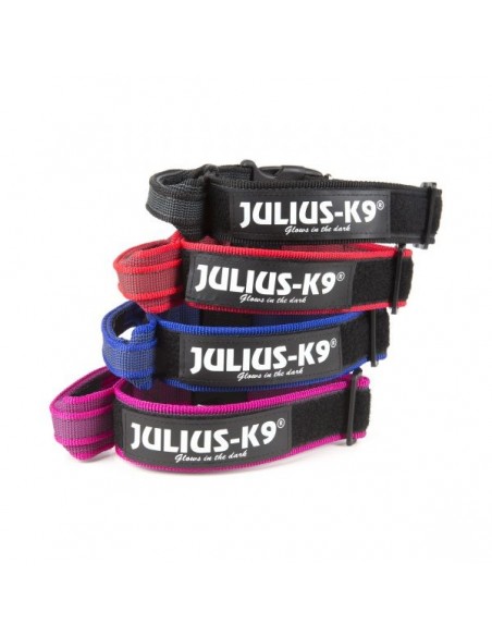 Collar Julius - K9