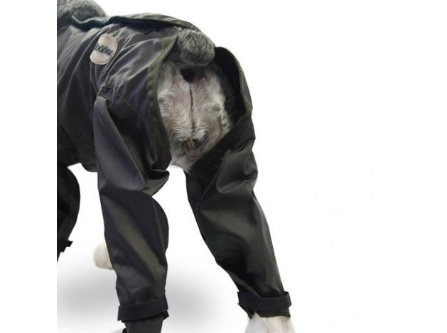 Chubasquero para perros Impermeable Marino