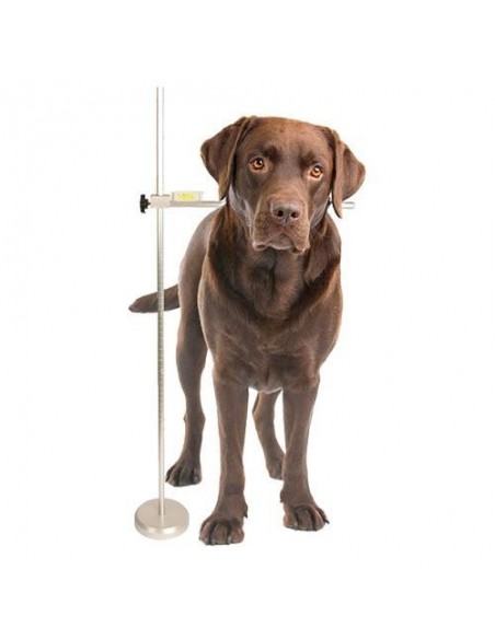 Medidor para perros y gatos