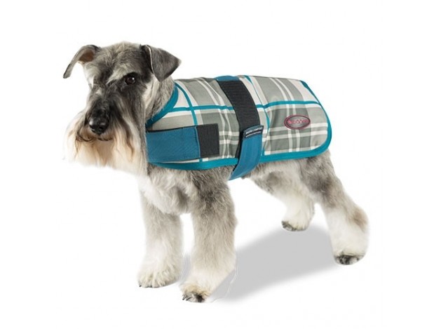 Capa + Trendy Breathe-Comfort Aguamarina