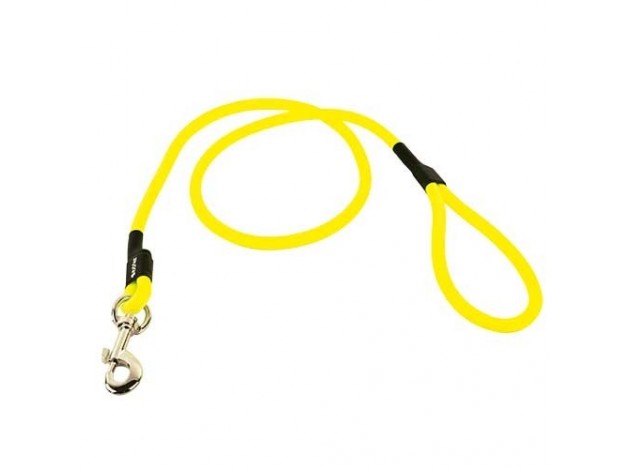 Correa para Perros de Poliuretano