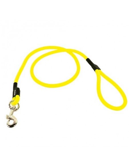 Correa para Perros de Poliuretano