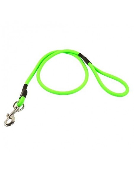 Correa para Perros de Poliuretano