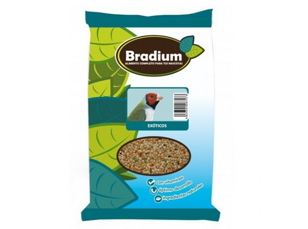 Bradium Mixtura Exóticos