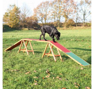 Pasarela Agility para Perros de Madera con Revestimiento...