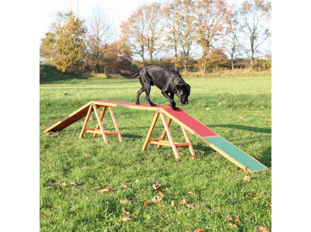 Pasarela para Agility