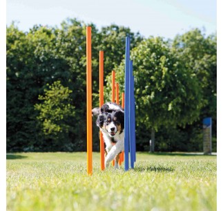 Escalón para Agility para perros Trixie