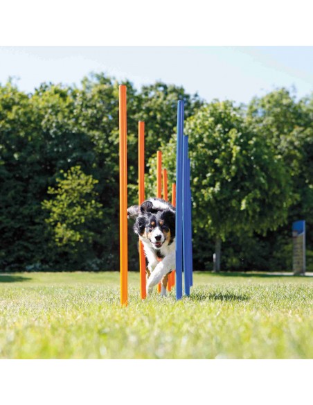 Escalón para Agility para perros Trixie