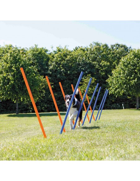 Escalón para Agility para perros Trixie
