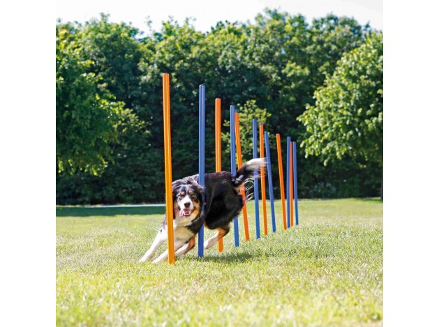 Escalón para Agility para perros Trixie