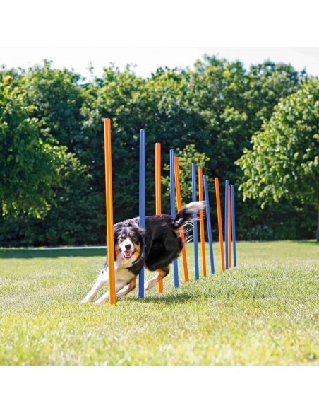 Escalón para Agility para perros Trixie