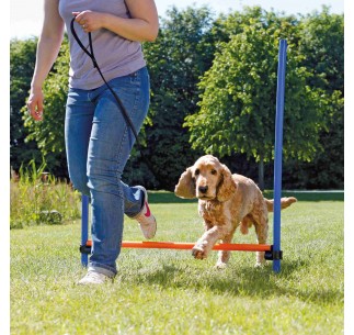 Valla para Agility 2