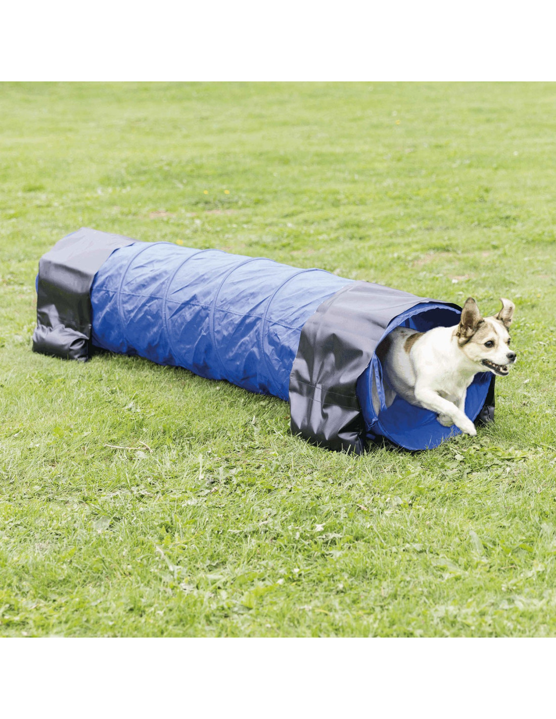 Vallas Agility Regulable para perros Trixie Azul-Naranja 129 × 115 cm
