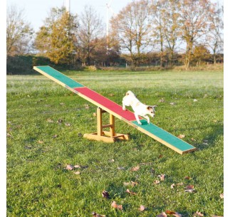 Balancín Agility para Perros en Madera con Revestimiento...