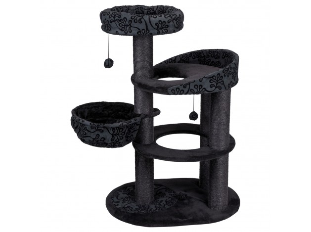 Poster Rascador Filippo