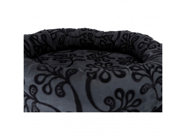 Poster Rascador Filippo