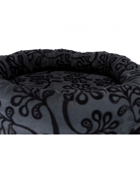 Poster Rascador Filippo