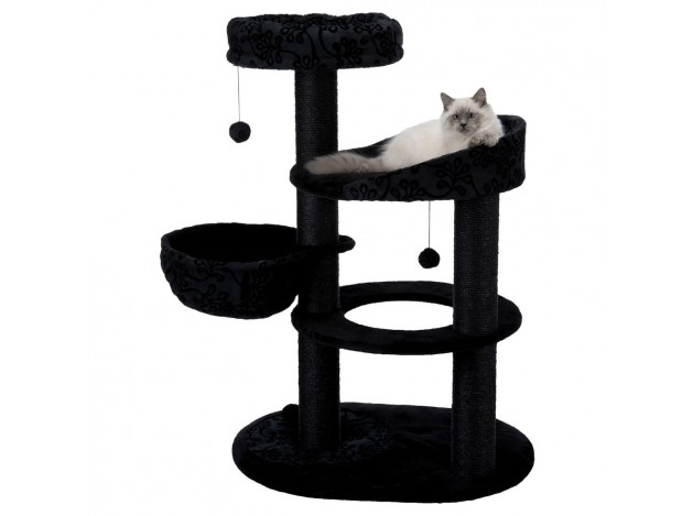 Poster Rascador Filippo