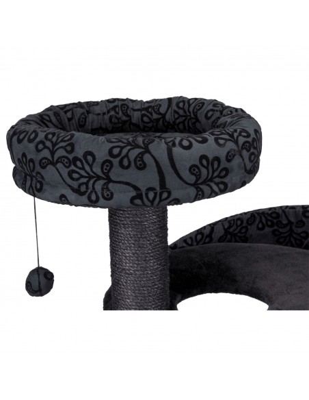 Poster Rascador Filippo