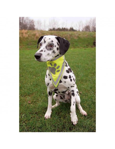 Pañuelo de Seguridad