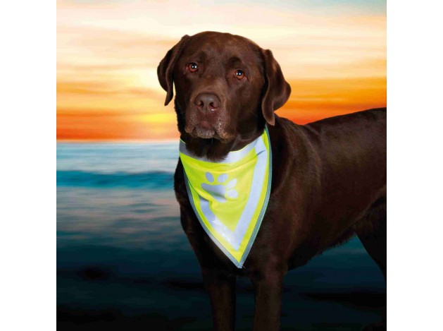 Pañuelo de Seguridad