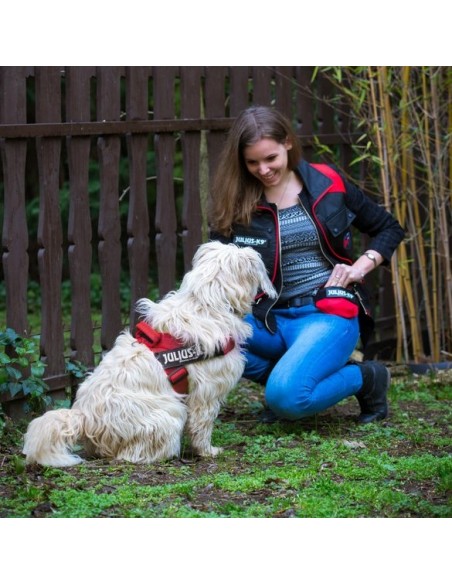 Arnés Julius K9 Cinta