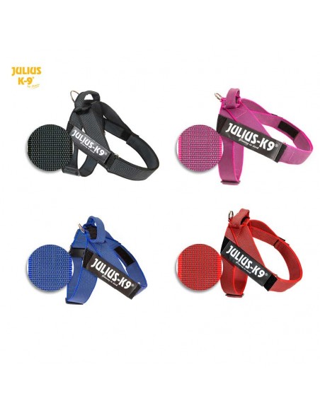 Arnés Julius K9 Cinta