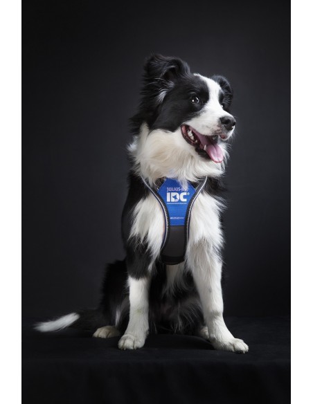 Arnés Julius K9 Longwalk Azul