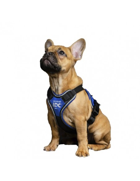 Arnés Julius K9 Longwalk Azul