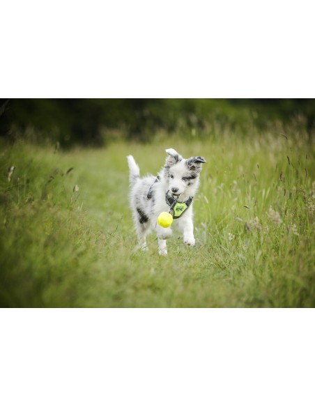 Arnés Julius K9 Longwalk Rojo