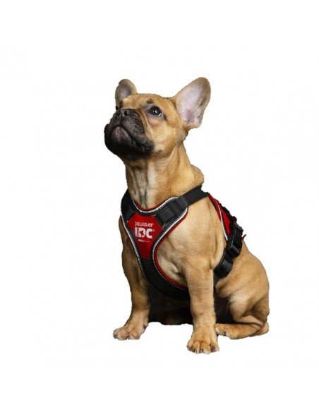 Arnés Julius K9 Longwalk Rojo