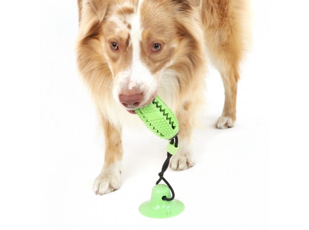 Juguete golosina con ventosa para perro 40 cm