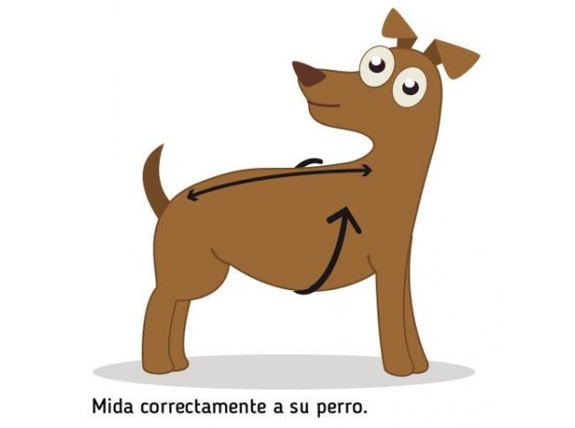 Capa Impermeable para Perros Meribel 24 cm