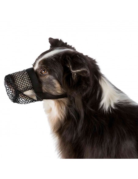 Protector contra Ingestas Peligrosas