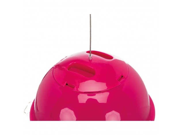 Bola para Alimento - Pack de 3 unidades