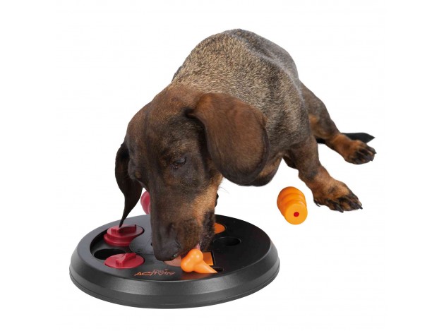 Juego Interactivo Flip Board