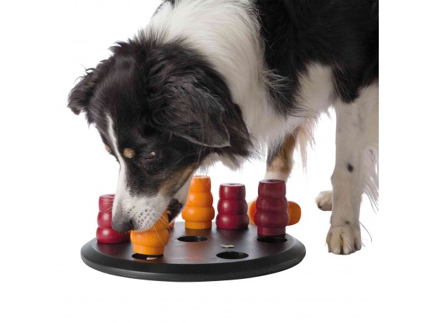 Juego Interactivo Solitario