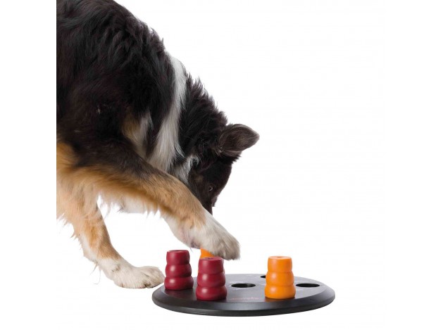 Juego Interactivo Solitario