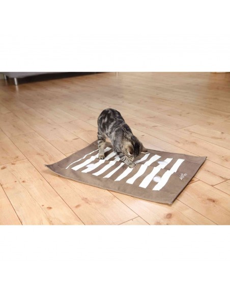 Manta de Premios Cat Activity